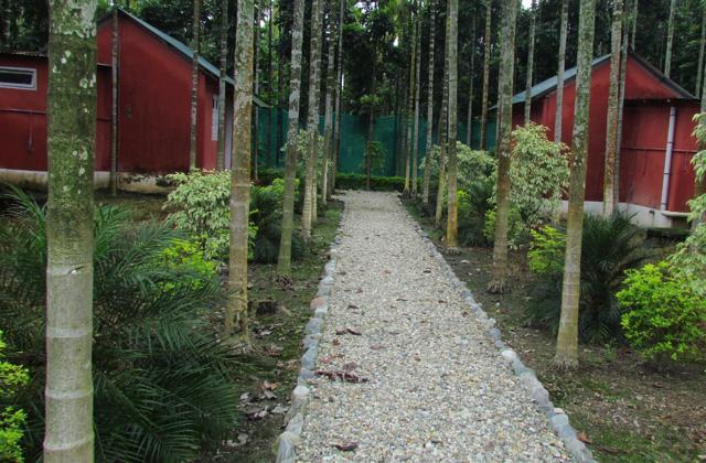 Resort Jayanti Hills Jungle Camp Rajabhat Khawa Exterior foto